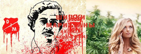 экстази Няндома
