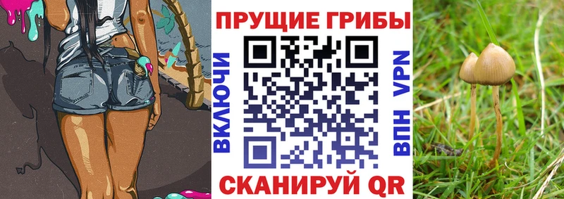 Галлюциногенные грибы MAGIC MUSHROOMS  Шарья 